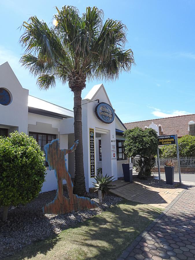 Mosselbay Backpackers Hostel Mossel Bay Exterior photo